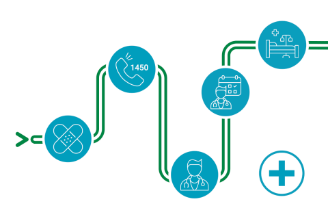 Path of the styrian health system